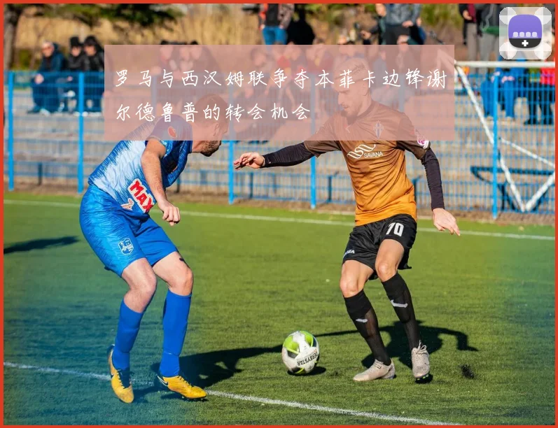 罗马与西汉姆联争夺本菲卡边锋谢尔德鲁普的转会机会