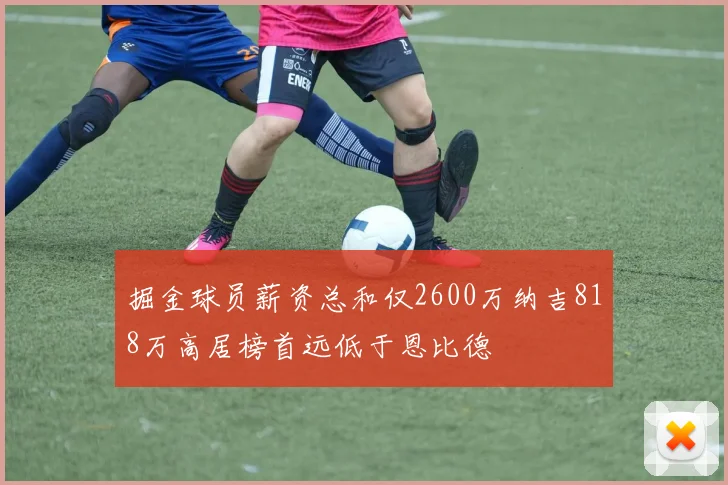 掘金球员薪资总和仅2600万纳吉818万高居榜首远低于恩比德